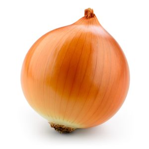 Cipolla Dorata