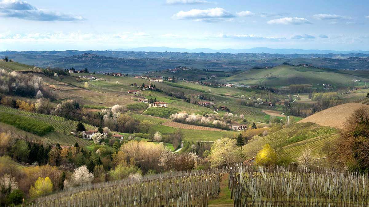 Alta Langa