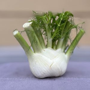 Finocchio BIO