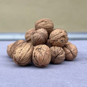 Frutta Secca