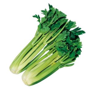 Sedano Verde