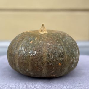 Zucca Delica