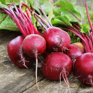 Barbabietola Rossa