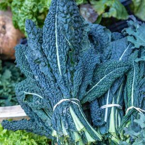 Cavolo Nero