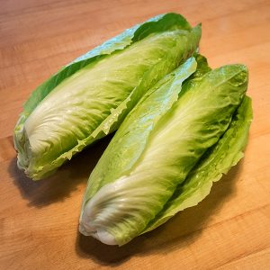 Cicoria Pan di Zucchero BIO