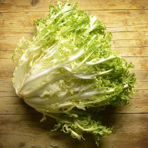 Indivia Scarola BIO
