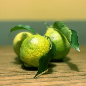 Limone Biologico