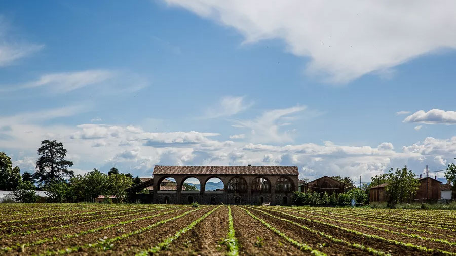 Monastero Azienda Agricola