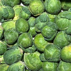 Cavolini di Bruxelles BIO
