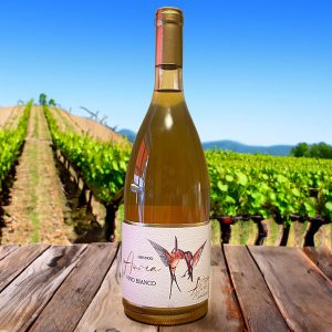 Hirundo Aurea Vino rosso da uve Dolcetto Biologiche, senza solfiti